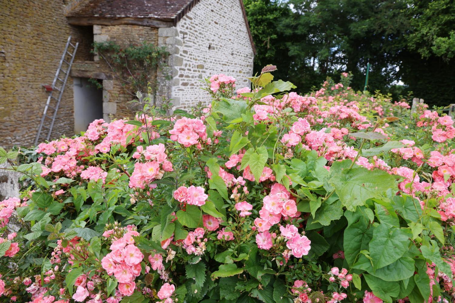 Chambre D'Hote Courtoux Saint-Denis-sur-Sarthon Exteriör bild